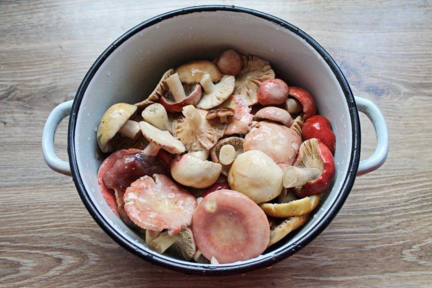 Грибы на зиму закрутка