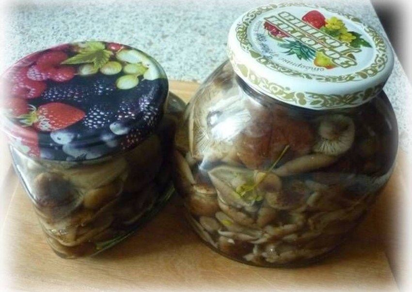 Russula Atropurpurea