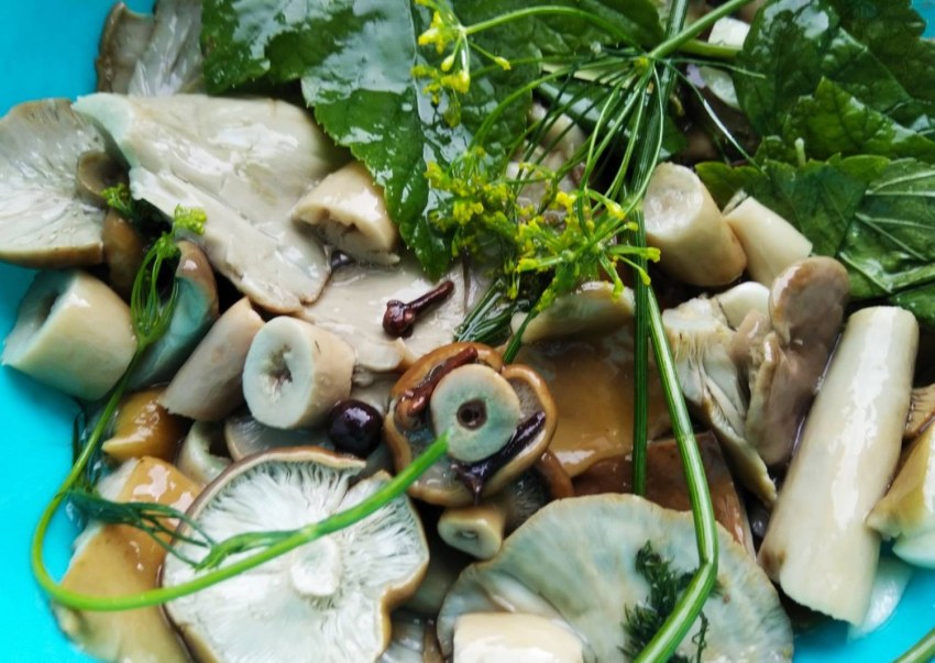 Консервированные грибы