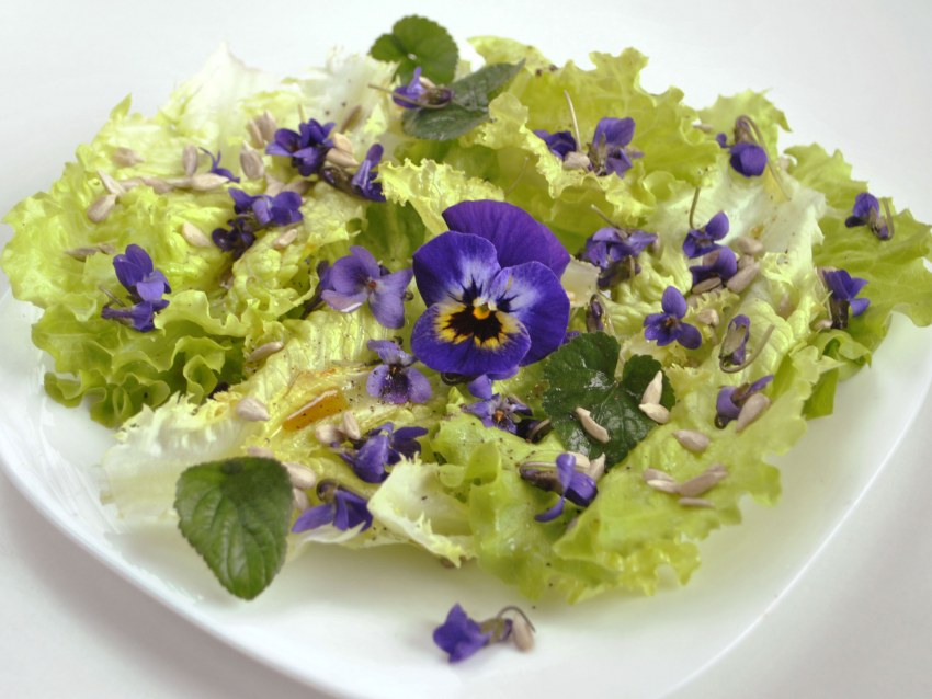 Салат чёрная Жемчужина с черносливом