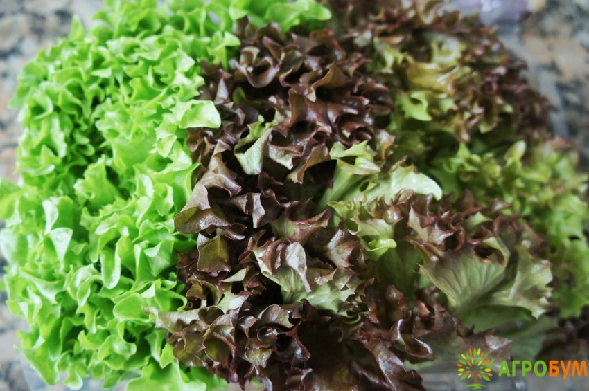 Салат Мономах шапка Мономаха