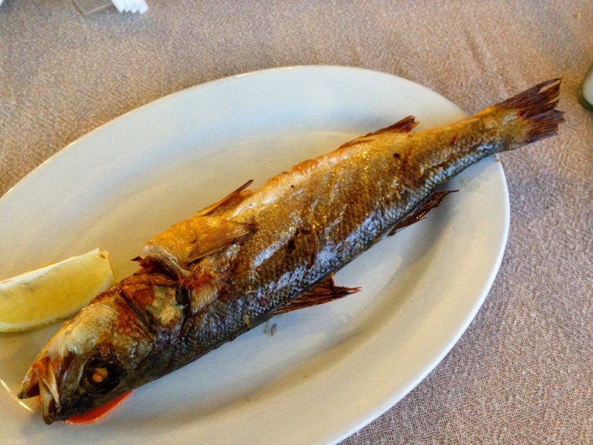 Сарган Тихоокеанский