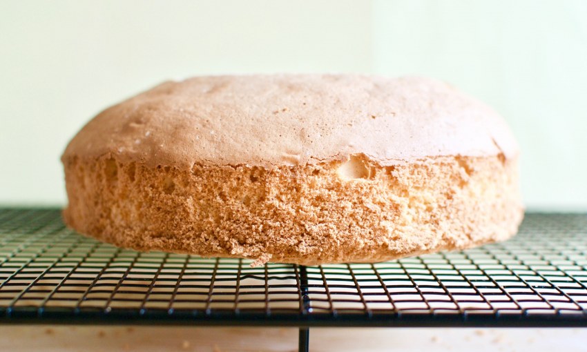 Пирог Европейский