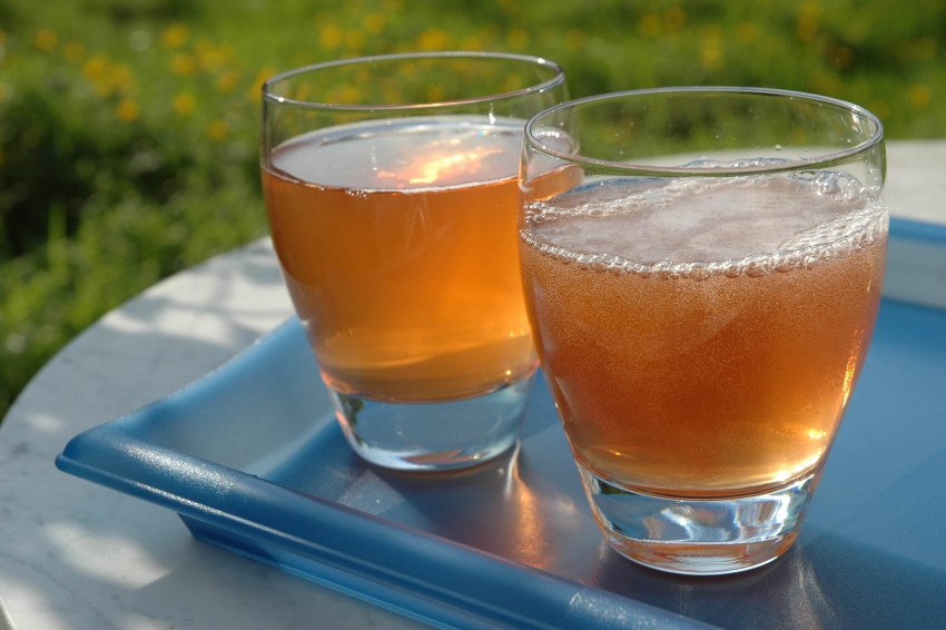 Квас с цикорием