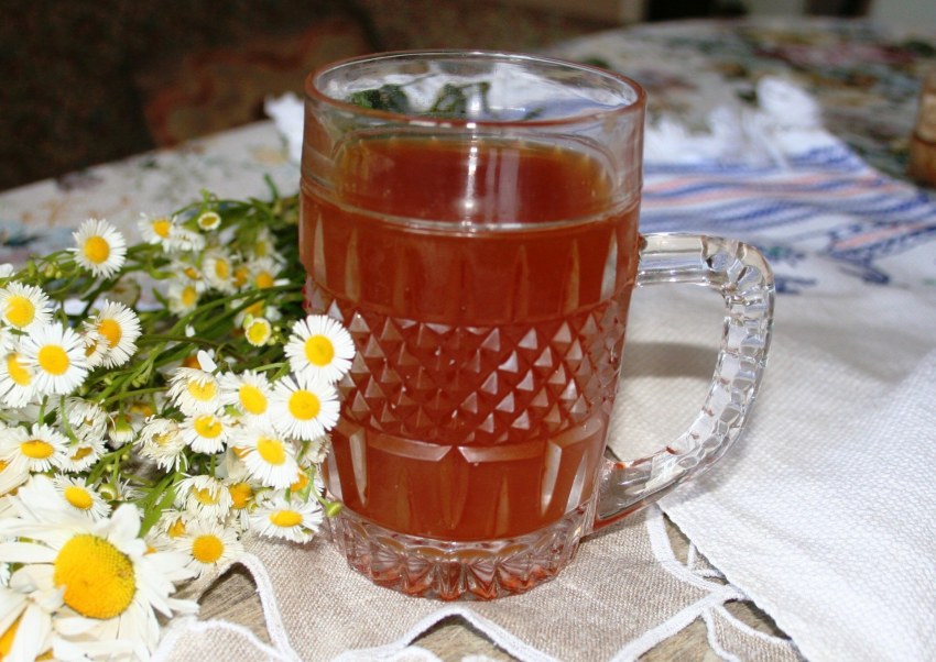 Квас с цикорием