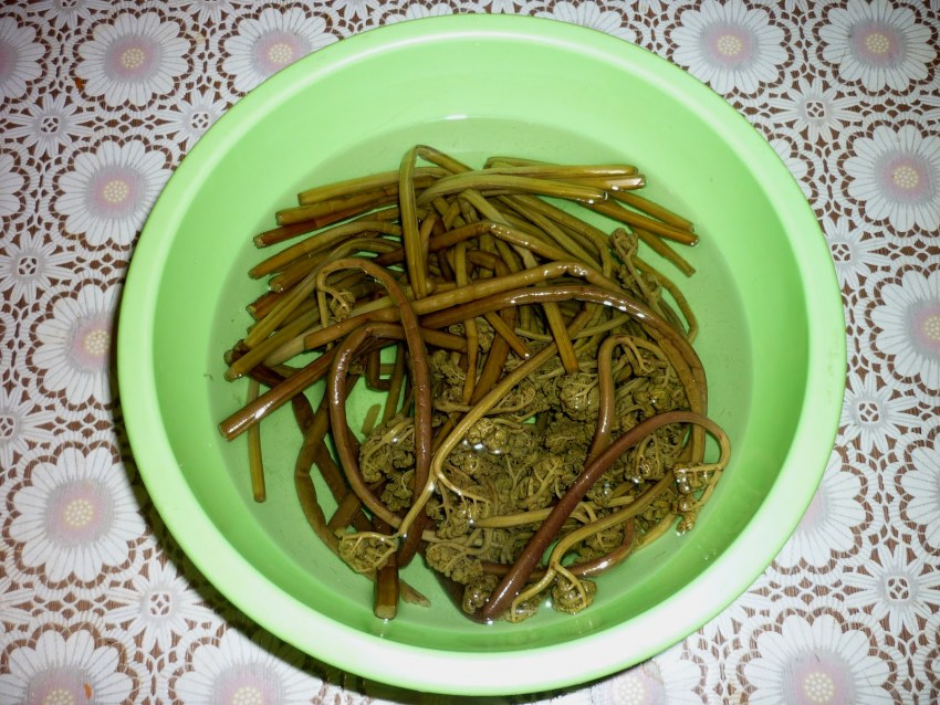 Тушеный папоротник