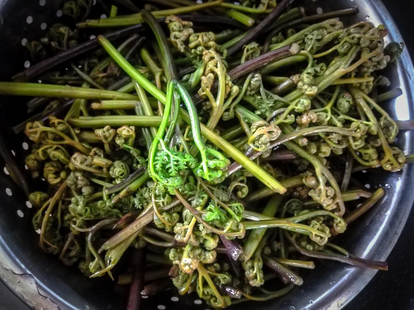 Ложка с жареным фаршем