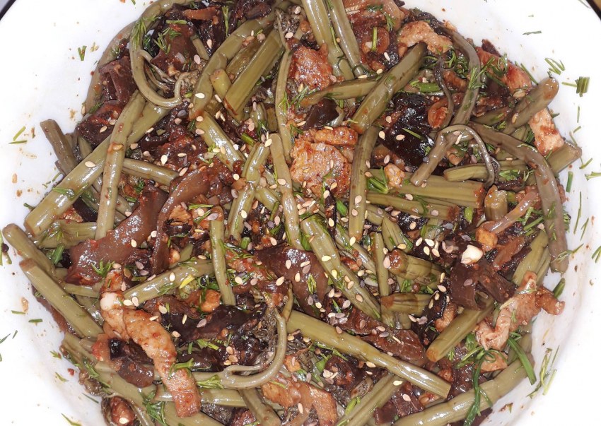 Папоротник соленый