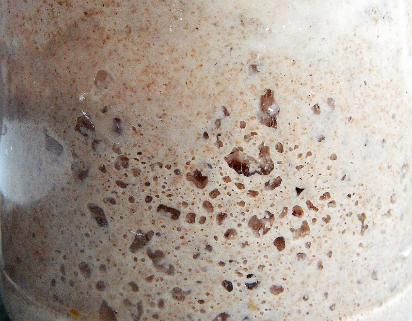 Ржаная закваска