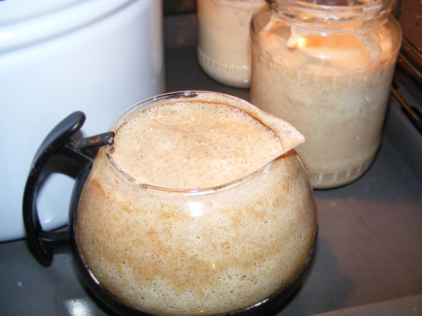 Концентрированная молочнокислая закваска