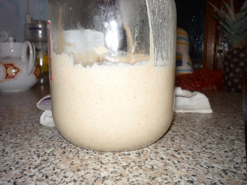 Закваска на ржаной муке