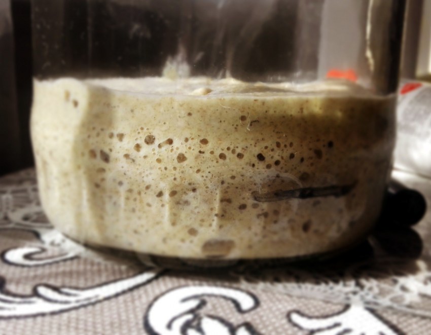 Ржаная закваска в банке