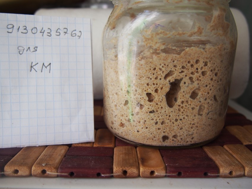 Пузырьки на закваске