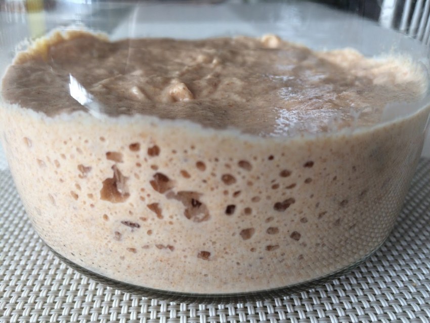 Закваска на ржаной муке