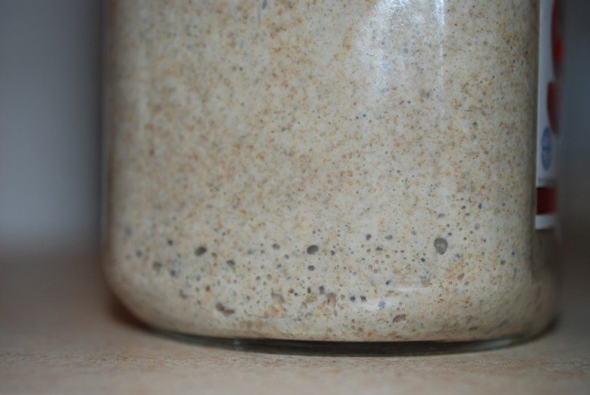 Shefdoma пшеничная закваска