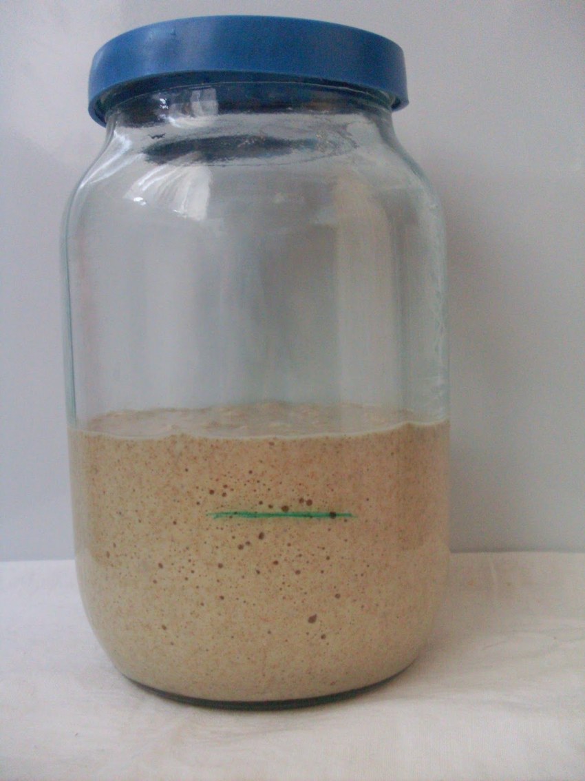 Био хлеб из полбы на закваске