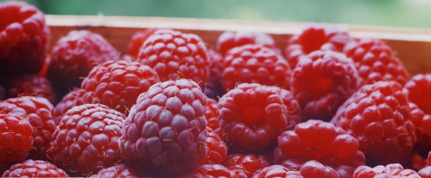 Ежевично малиновый пломбир