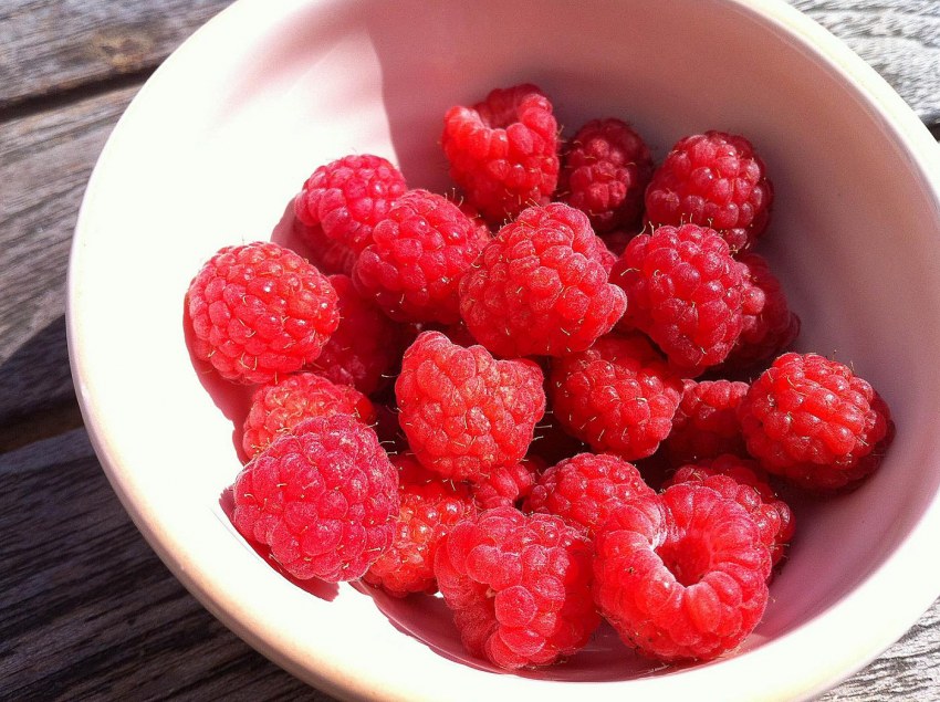 Ягодное желе для торта прослойка