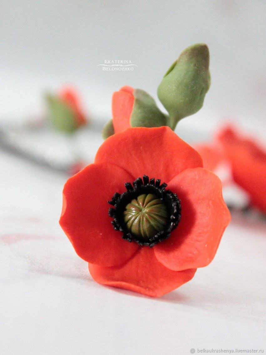 Плюшка с маком