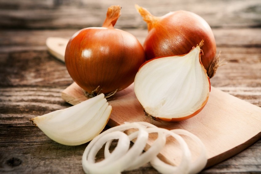 Сорт лука Белозерский