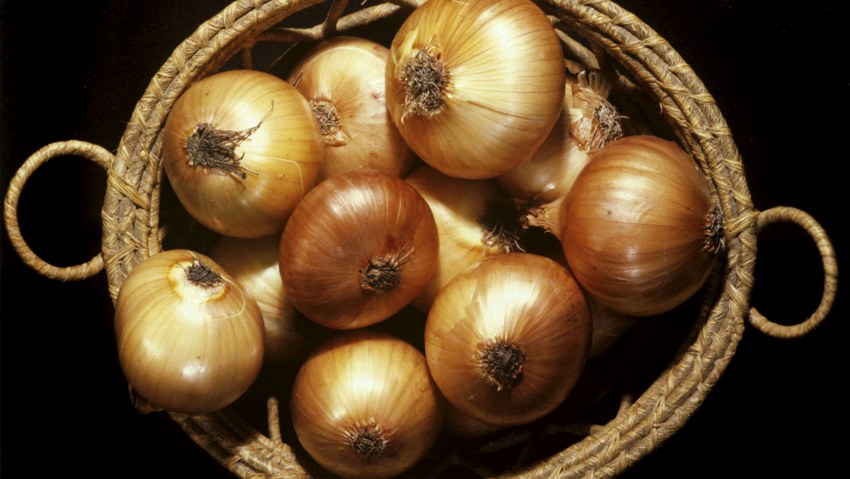 Китайский репчатый лук