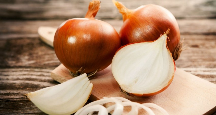 Лук репчатый