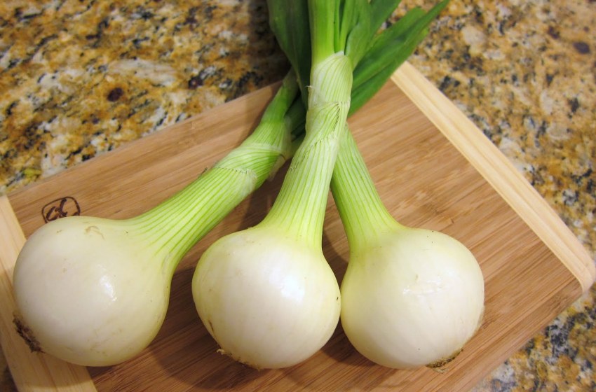 Лук молодой