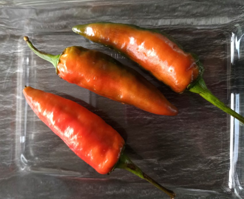 Болгарский перец с моцареллой