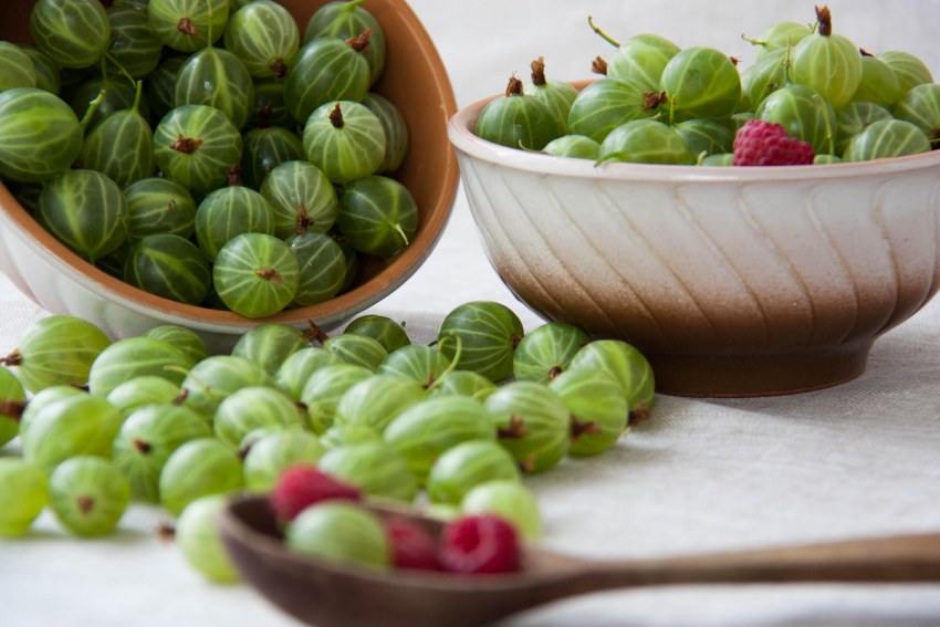 Крыжовниковый конфитюр