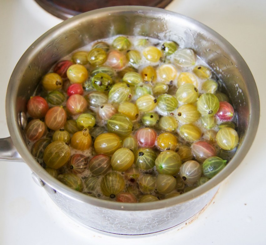 Крыжовник ассорти