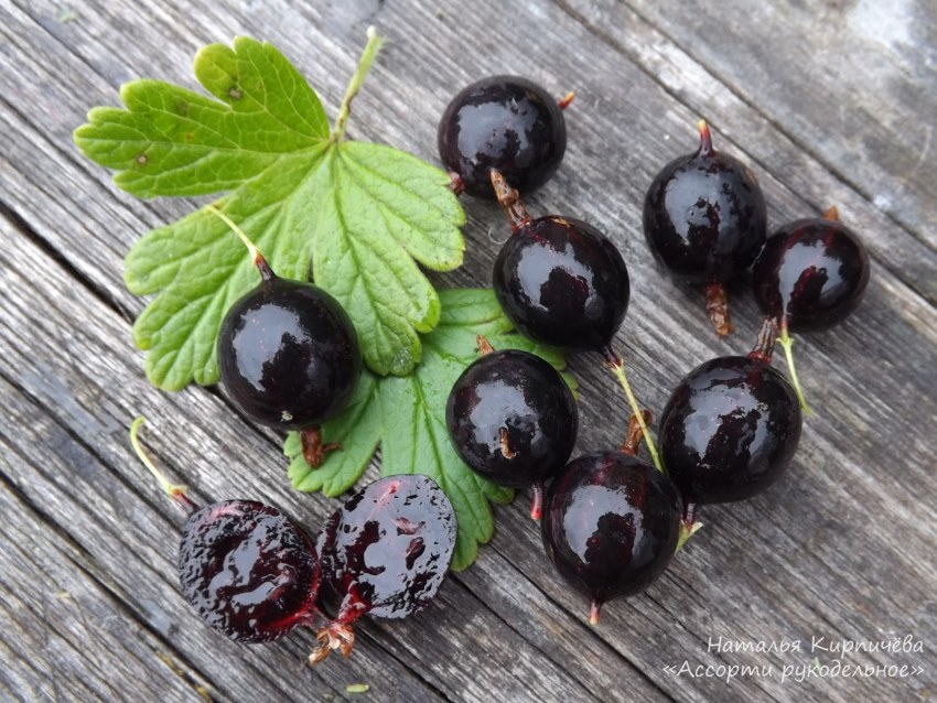 Варенье желе из крыжовника