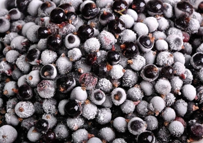 Смородина черная быстрозамороженная