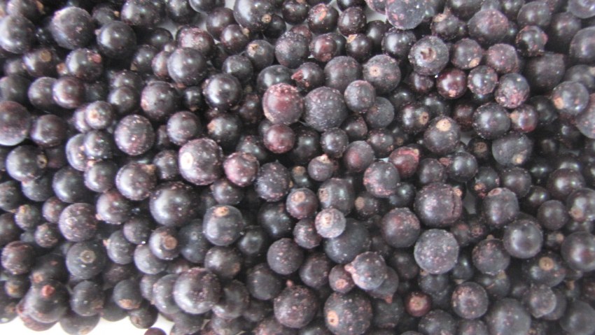 Черная смородина весовая 10кг