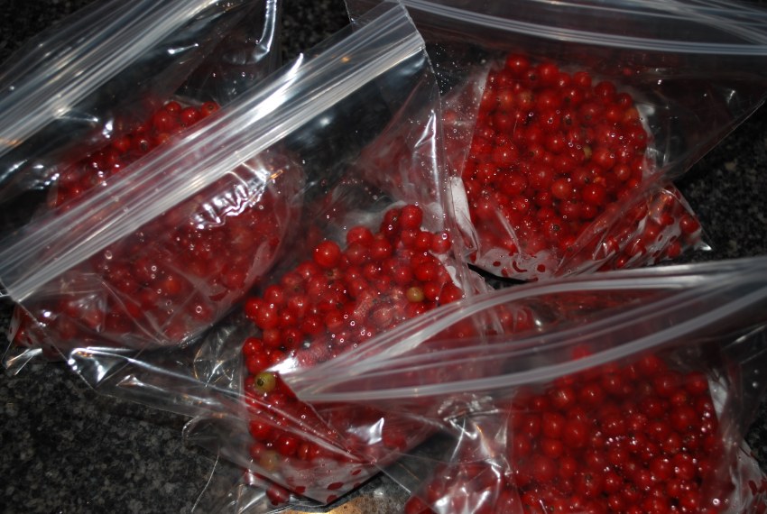 Замороженная смородина вид сверху