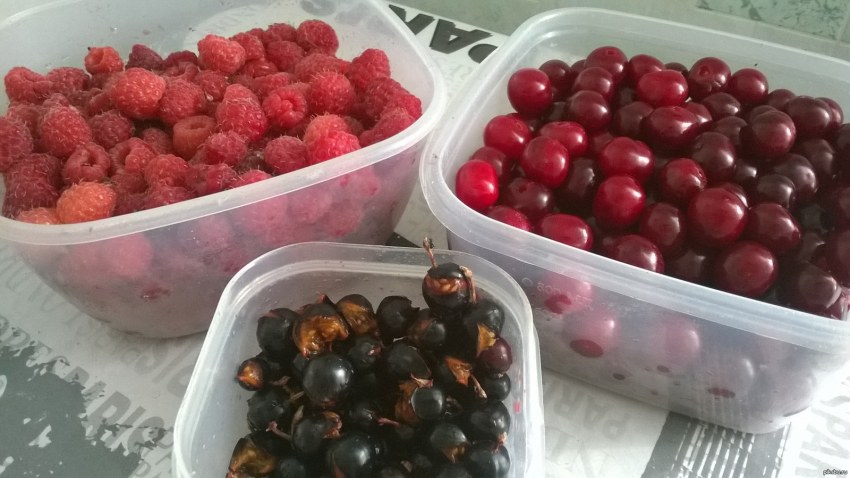 Polvit черника 300гр