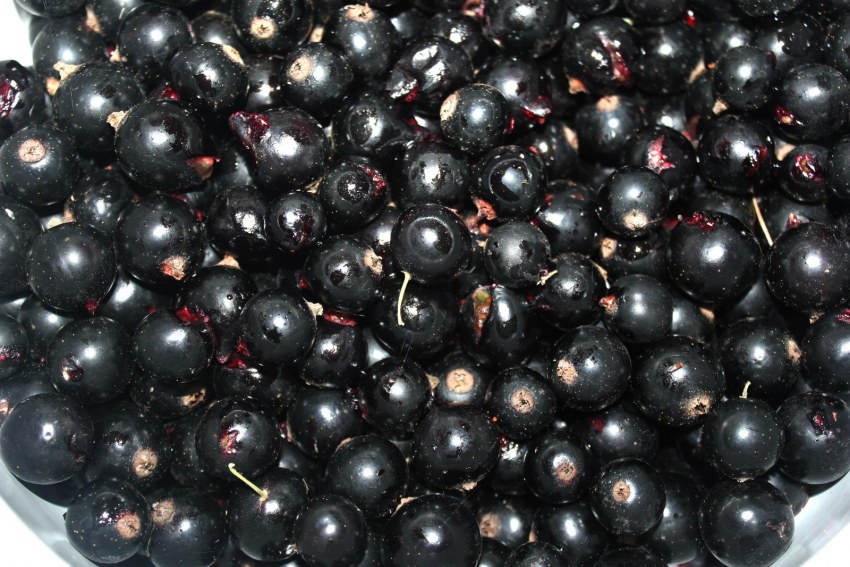 Черная смородина 10кг Китай