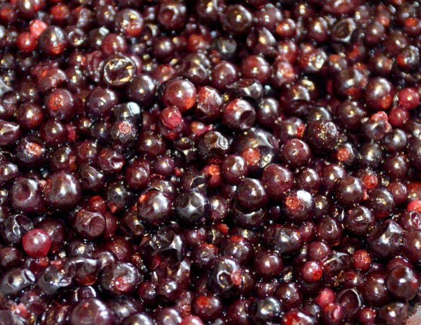 Свежезамороженная смородина