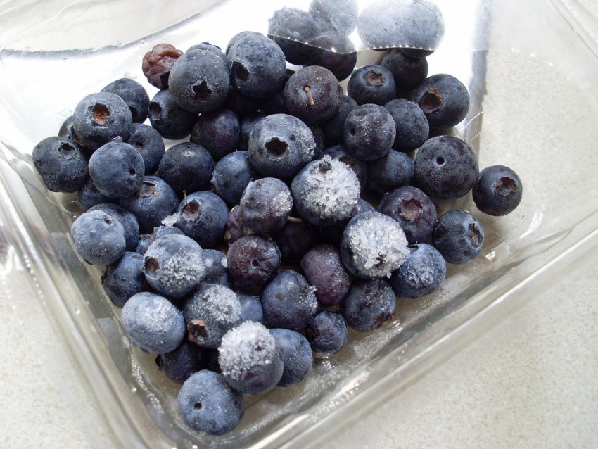 Заморозить смородину на зиму