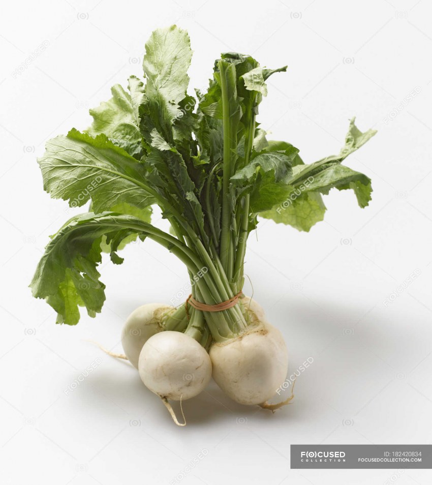 Белая свекла