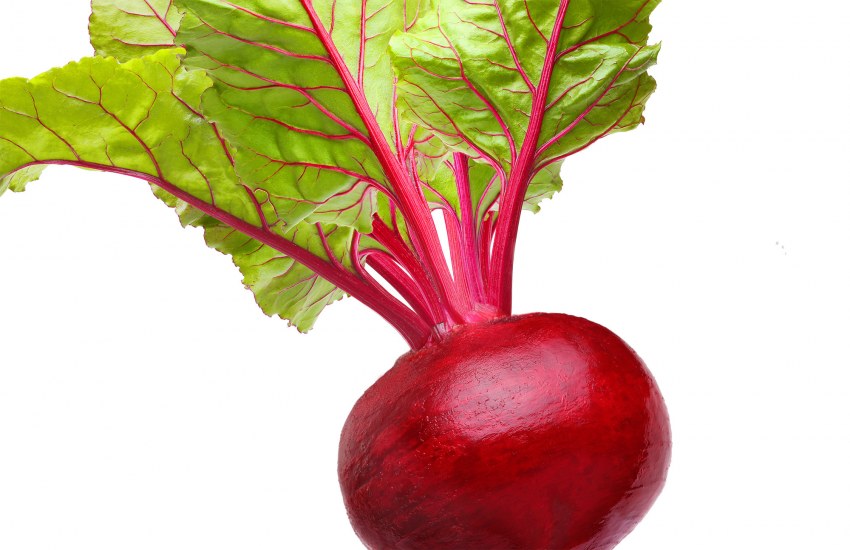 Свекла для дошкольников