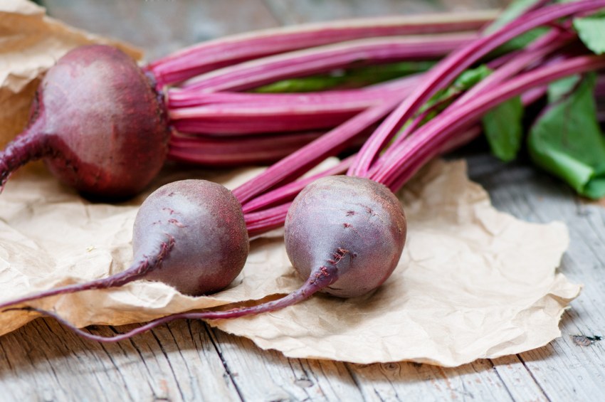 Свекла для сахара