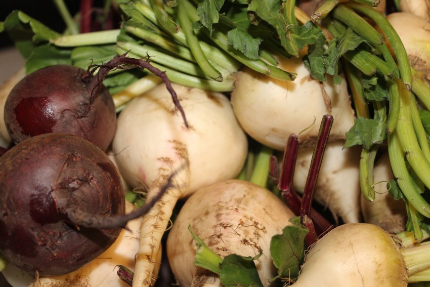 Буряк белый