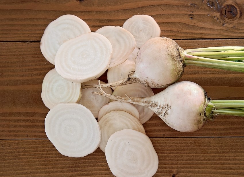 ‘Albina Vereduna’ свекла