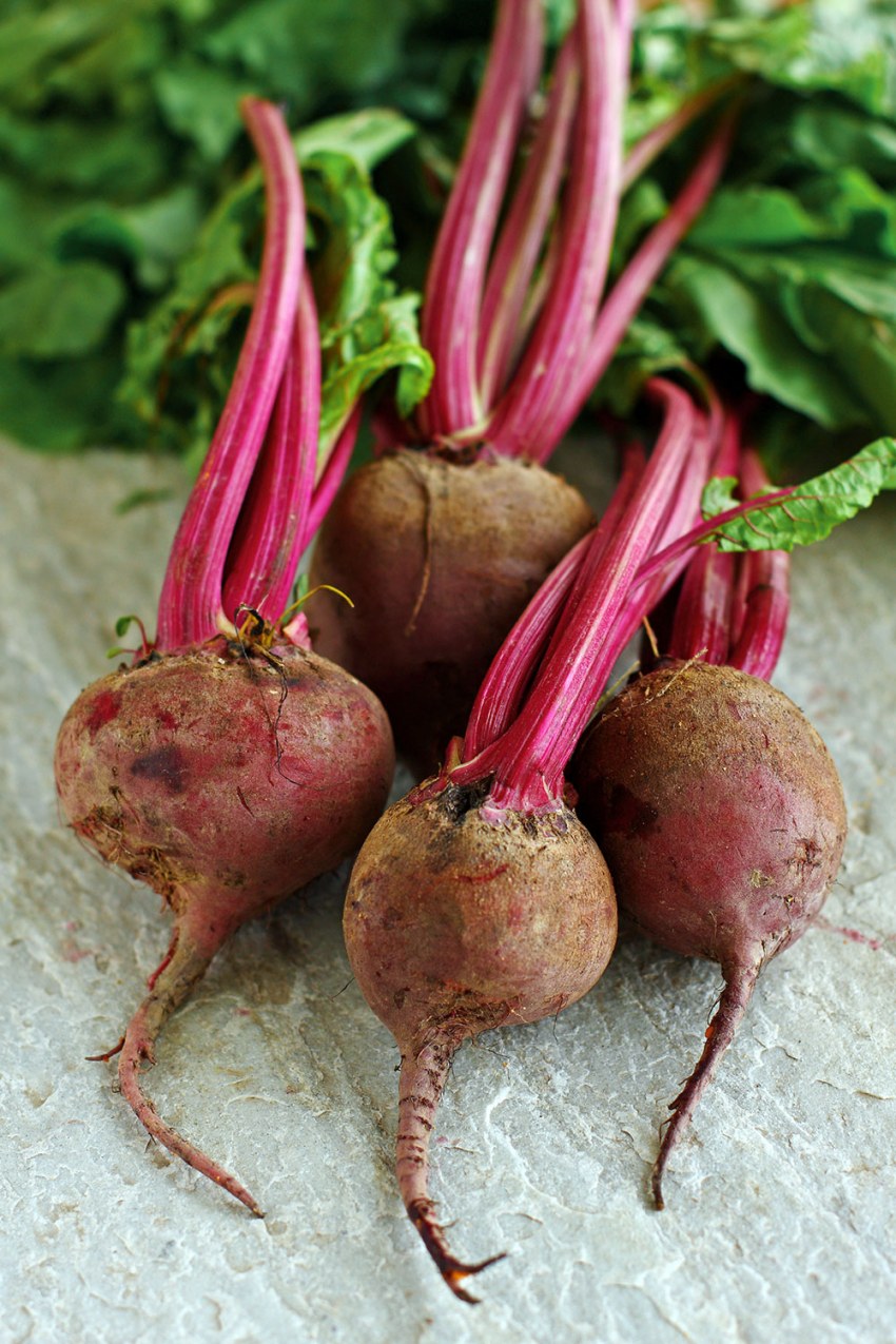 Белая свекла