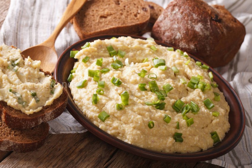 Лук шалот Бамбергер