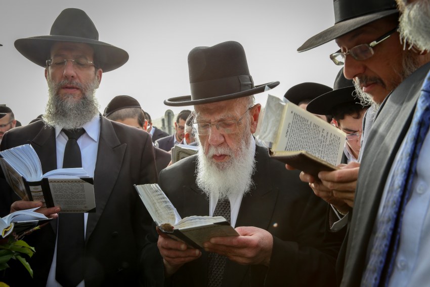 Лук Альба семена