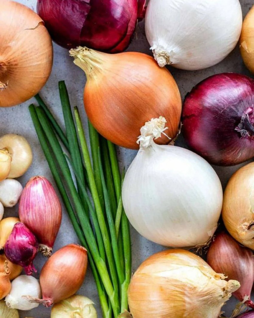 Лук репчатый резаный
