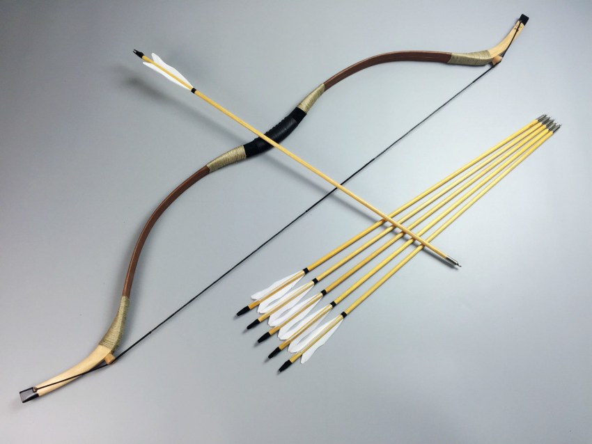 Лук Эстетика овощ