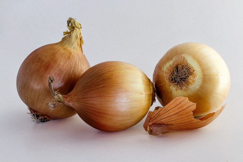 Чеснок лук порей