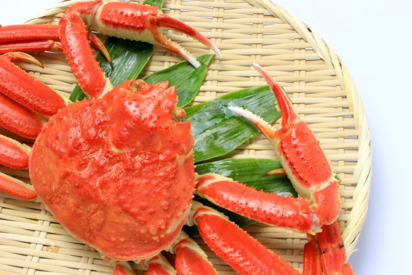 Vici палочки снежный краб крабовые 200г